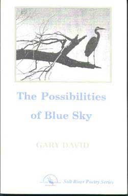 The Possibilities of Blue Sky cover