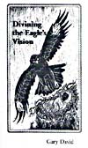 Divining the Eagle's Vision thumbnail