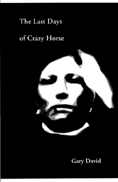 The Last Days of Crazy Horse cover
